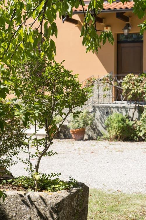 B&B Murolungo San Lazzaro di Savena Dış mekan fotoğraf